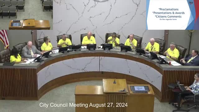 City Council Faces Urgent Calls for Community Safety Improvements