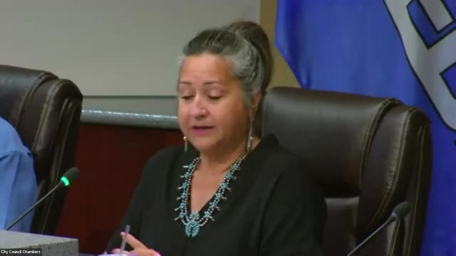 City leaders tackle homelessness and crime with new police plan