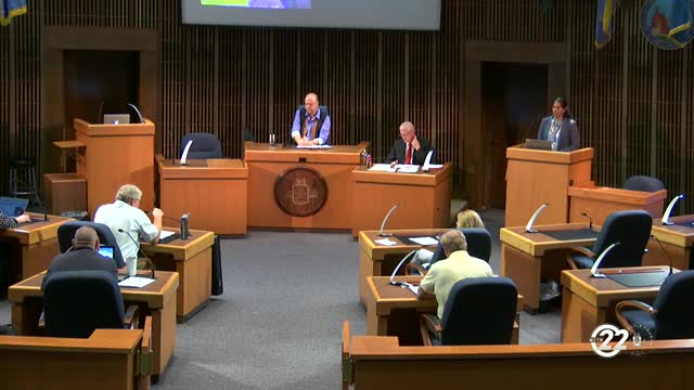 Council debates gun retail regulations amid rural hunting concerns