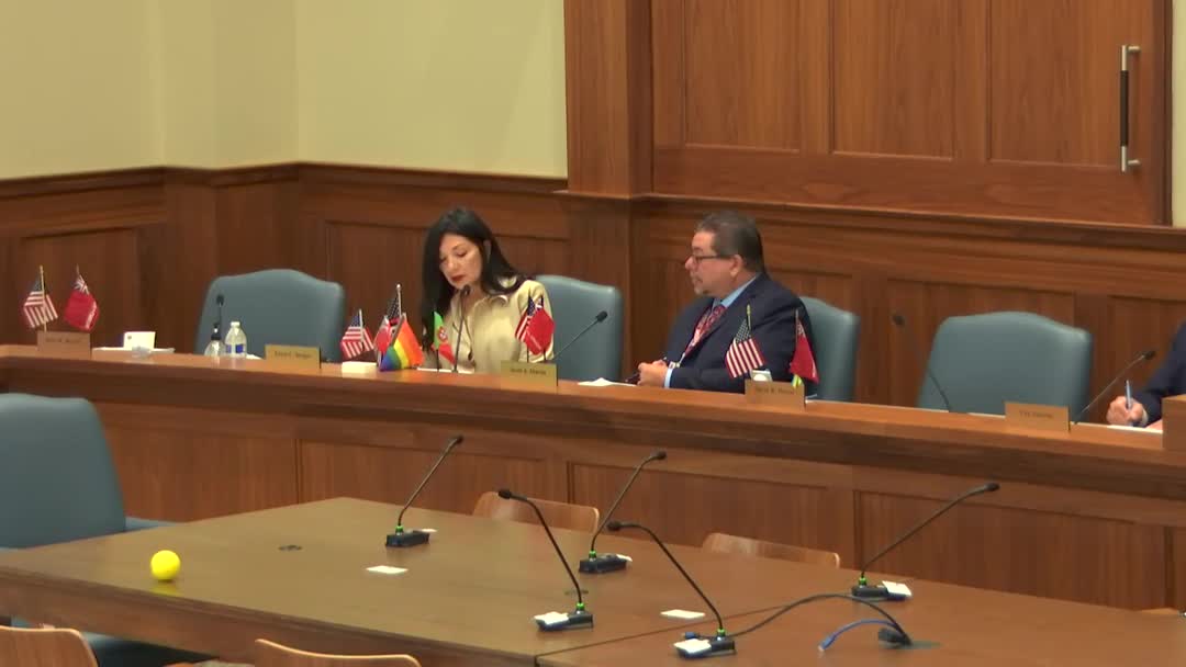 City Council Moves to Halt Controversial Property Auction