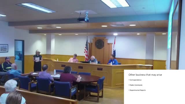 Tax Sale Sparks Surge in Property Payments and New Budget Plans