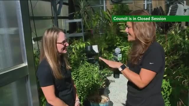 Greensboro Science Center plans stunning new biodome exhibit