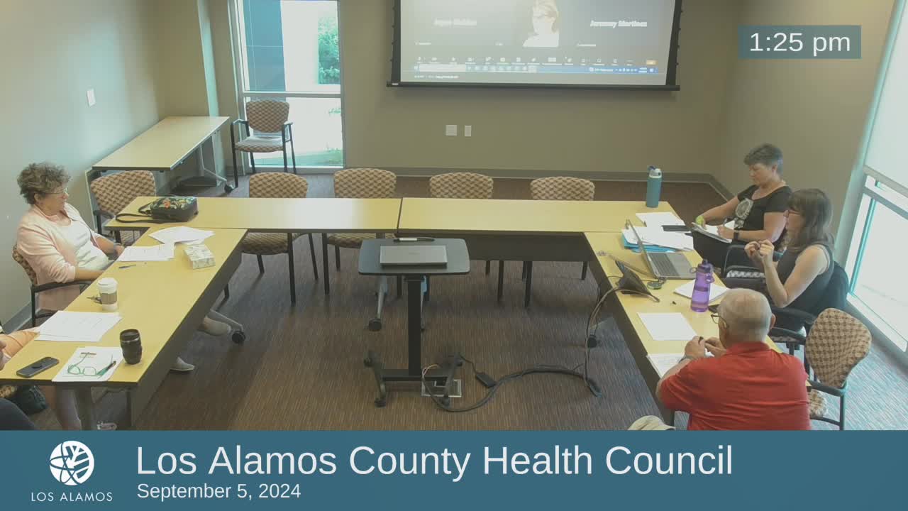 Council seeks innovative solutions for mental health crisis