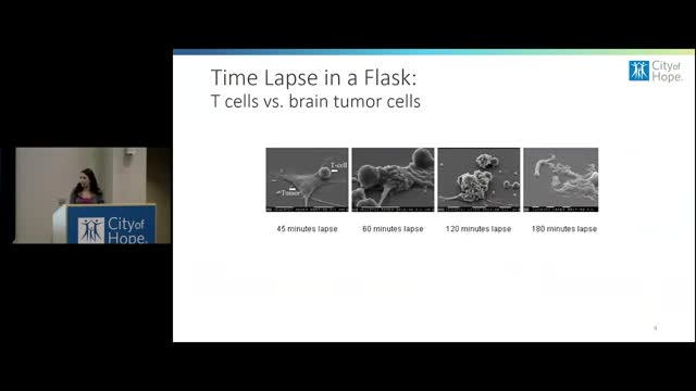 Innovative team revolutionizes T cell expansion process