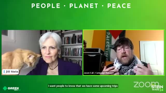Green Party fights for ballot access amid legal challenges