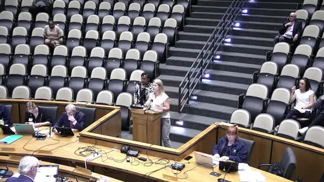 Variance request sparks debate over auto sales zoning