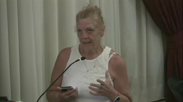 Residents rally against controversial state park development plans