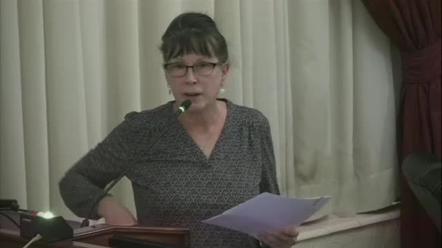 Citizens rally against controversial state park development plan