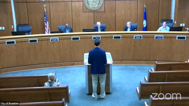 City Council Considers Urgent Mental Health Funding Proposal