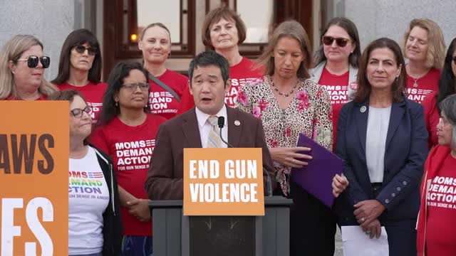 Lawmaker confronts escalating gun violence crisis