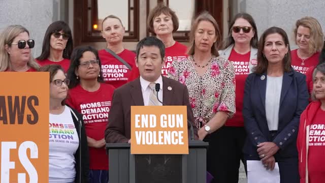 Lawmakers push for urgent reforms to combat gun violence
