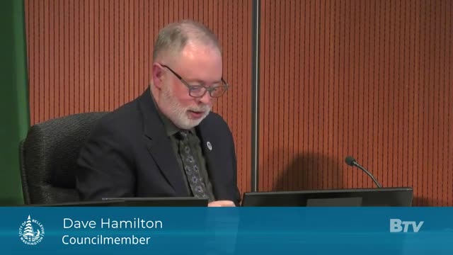 City Council debates transformative changes for small businesses