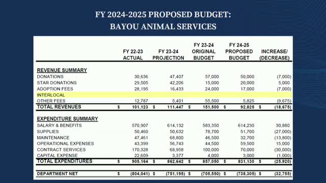 Budget Cuts Spark Controversy Over Animal Services Funding