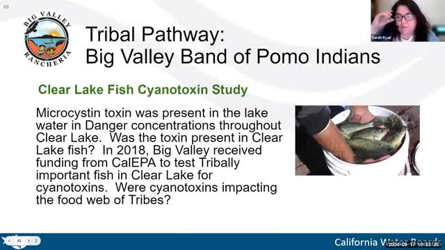 Cyanotoxin study reveals alarming fish contamination levels