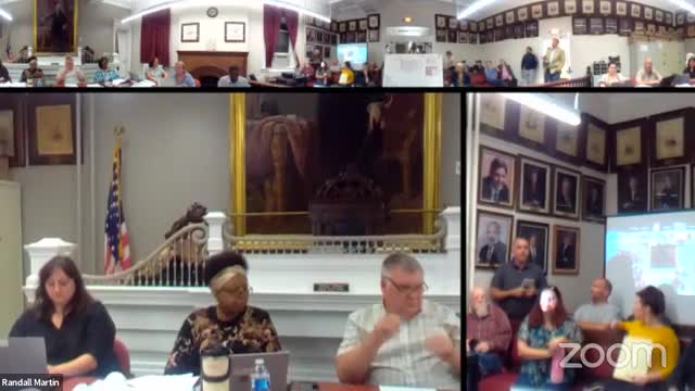 City Council Faces Backlash Over Controversial Development Project