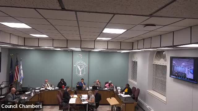 Council faces backlash over controversial appointment decisions