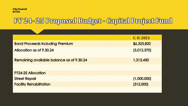 City Council Faces Budget Scrutiny Amid Rising Hotel Tax Revenue