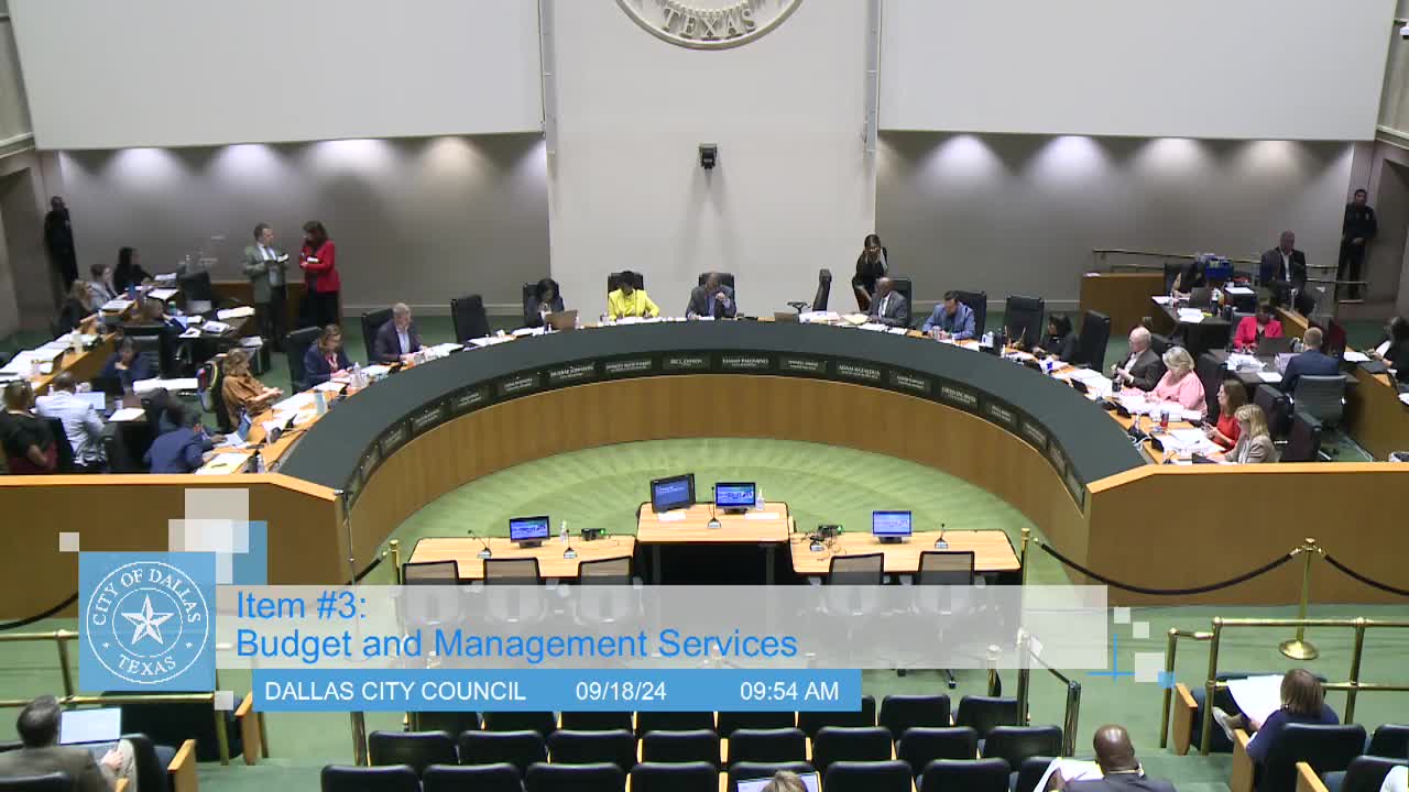 City Council Debates Controversial Library Funding Amid Budget Cuts