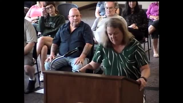 Former council member accused of bullying and harassment