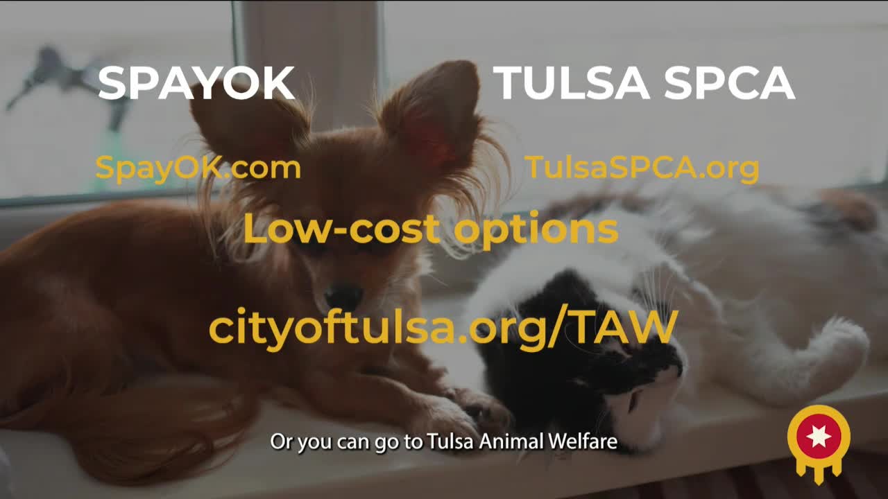 Tulsa Transit launches transformative Arrow BRT initiative