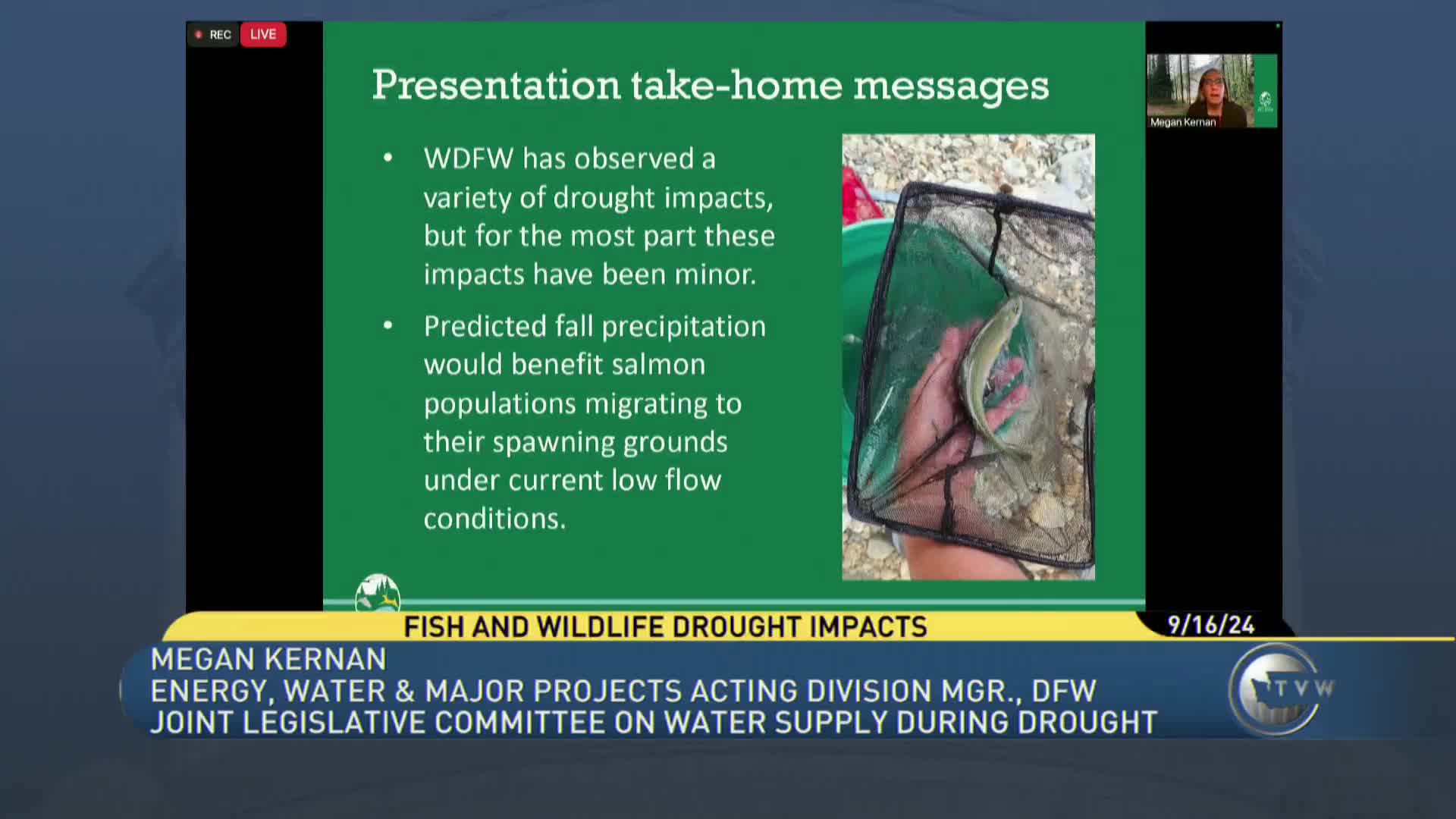 Salmon populations thrive despite challenging water conditions