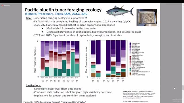 Research reveals dramatic shifts in bluefin tuna diets