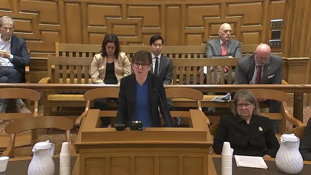 Child's adoption case highlights struggles and triumphs in court