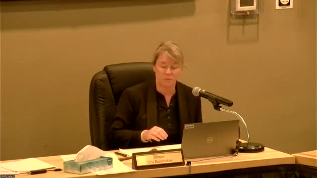 City Council Faces Pressure to Decide on Library Funding