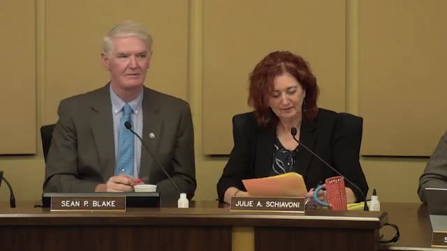 City Council Postpones Controversial Rezoning Ordinance