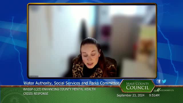 Advocates push for mental health resources amid crisis