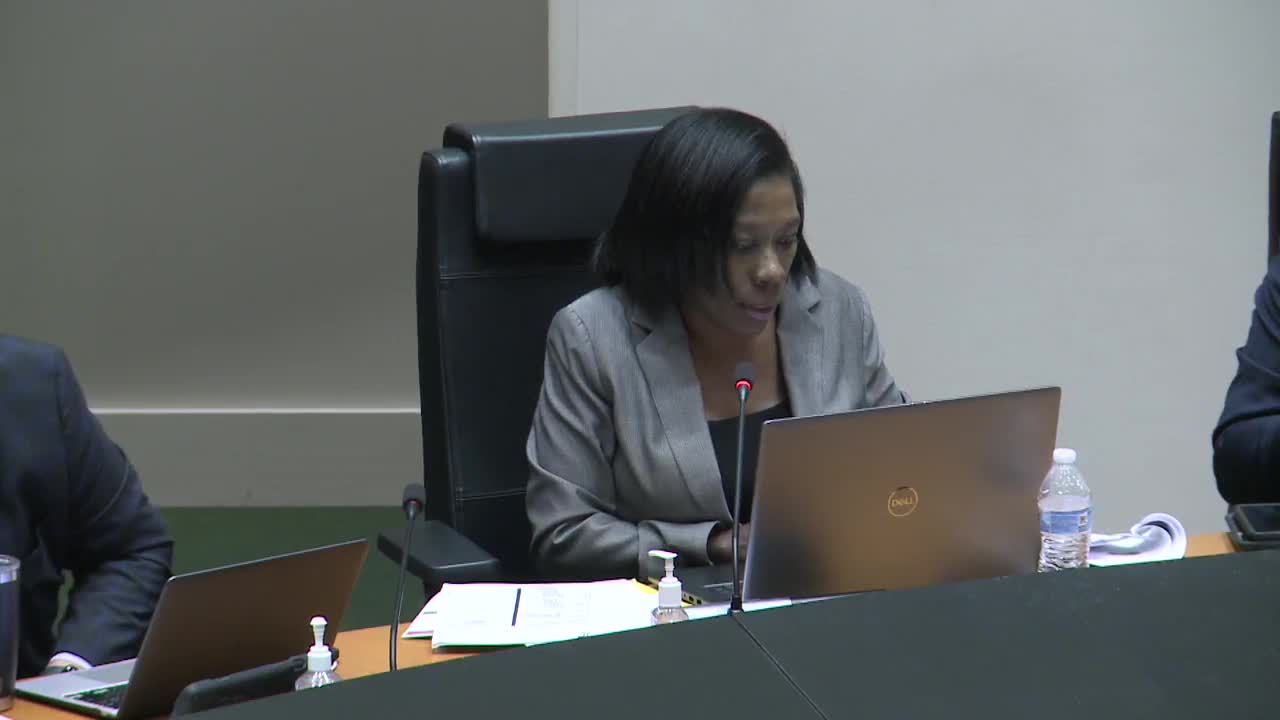 Council debates controversial airport code amendments and free speech rights