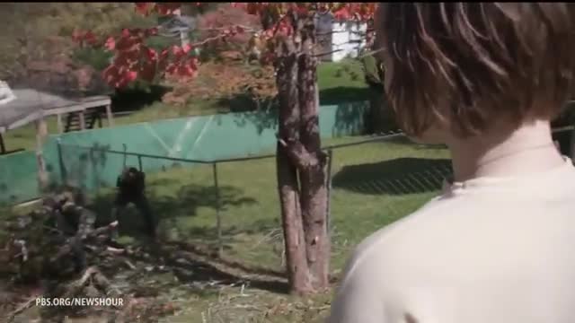 Laurie Anderson redefines storytelling in new album on Earhart