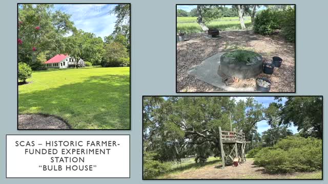 Community rallies to preserve historic Red Top Park