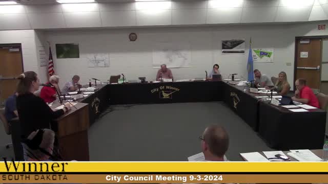 City Council Approves Carnival Funding Amid Economic Concerns