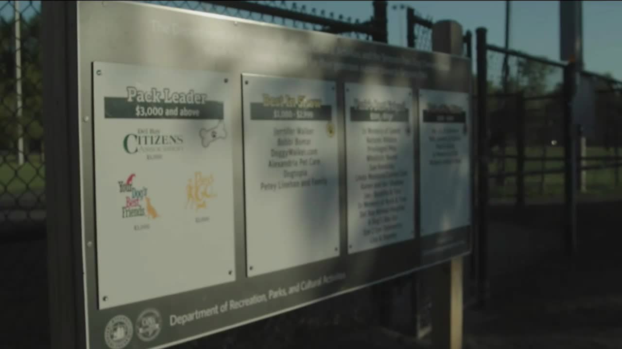 Alexandria launches Vision Zero to end traffic fatalities