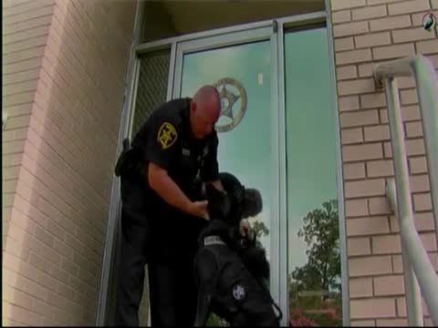 Police canines revolutionize crime fighting with unmatched skills