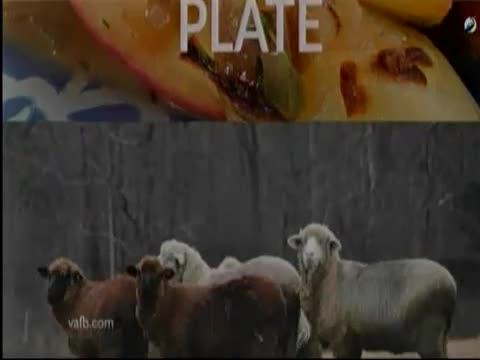Matthews County emerges as Virginia's hidden agricultural gem
