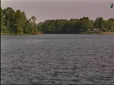 Community Unites to Build Living Shorelines and Restore Ecosystem