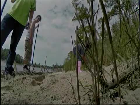 Volunteers unite to restore vital river ecosystem