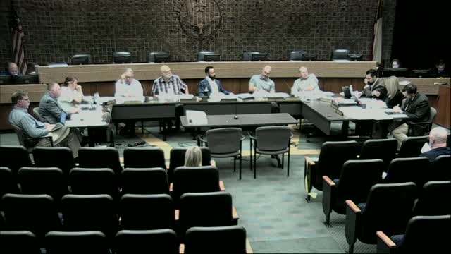 City Council Faces Controversy Over Library Budget Decisions