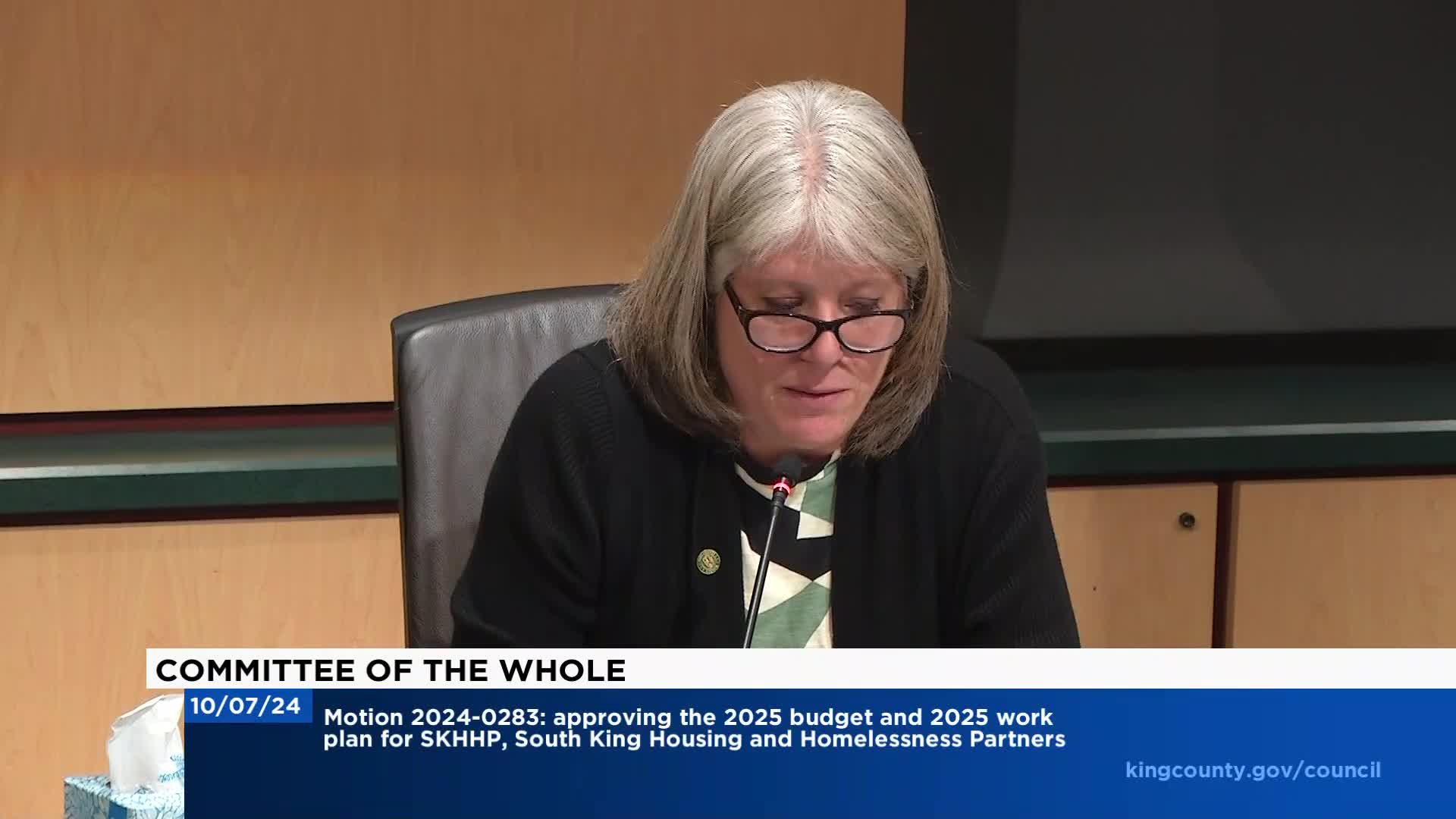 Council advances crucial affordable housing initiatives