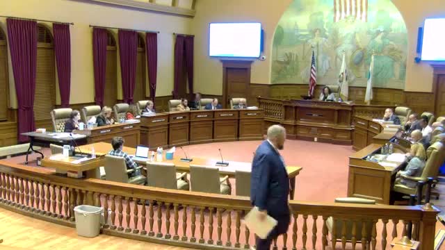 City Council Delays Key Decisions Amid Community Concerns