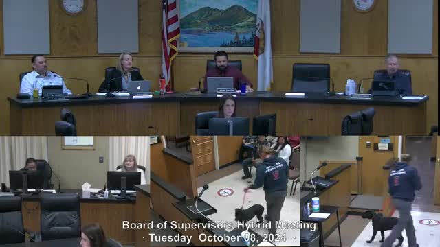 Library highlights gripping new thriller The God of the Woods