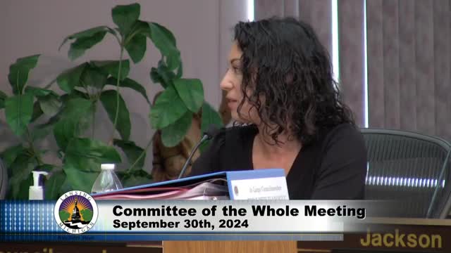 City Council Proposes Bold Measures for Public Safety and Accessibility