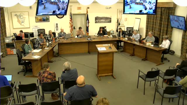 Council debates ambitious housing project amid community concerns