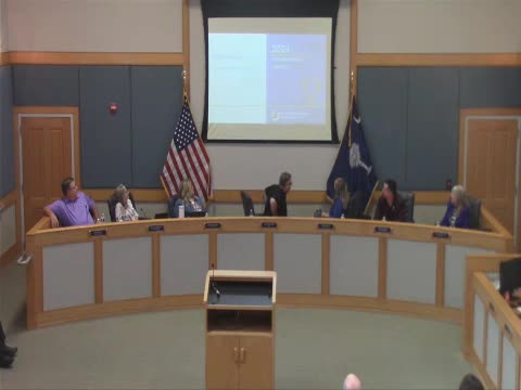 Goose Creek embraces community pride with quirky goose art