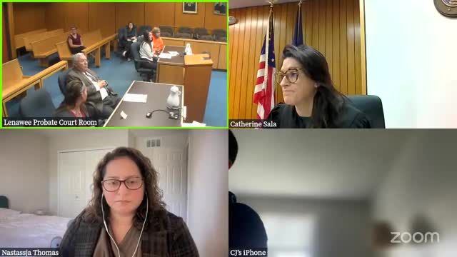 Court hears plea in high-stakes child custody case