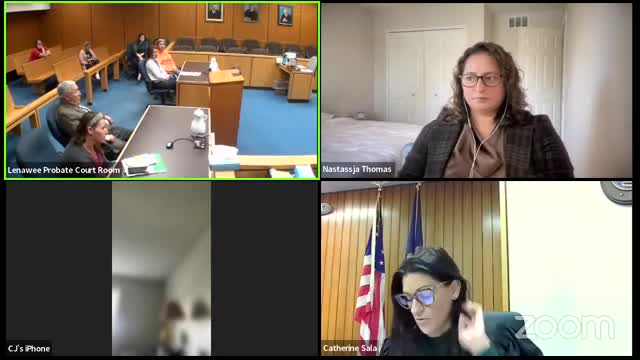 Court Accepts Plea Amid Child Welfare Concerns