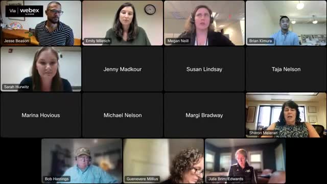 Funding for bridge project raises critical budget concerns