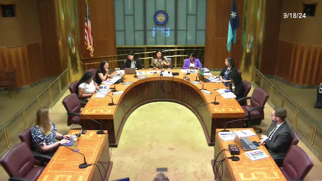 Council debates significant police budget increase amid community concerns
